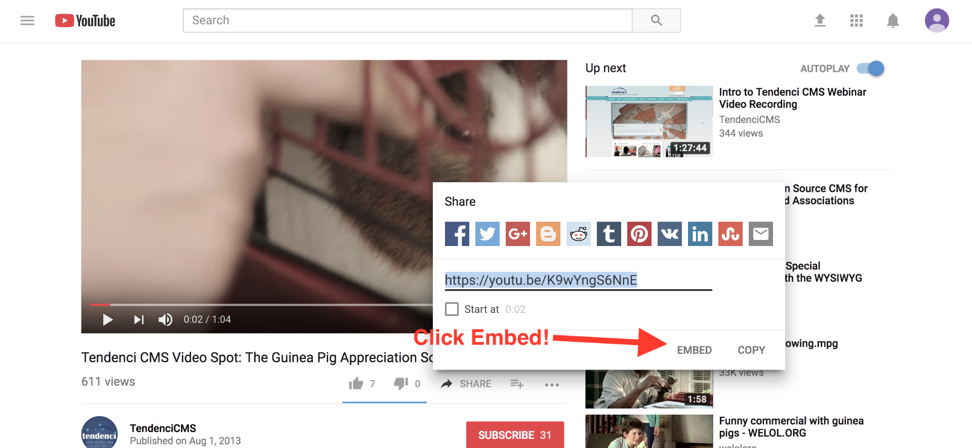 click embed youtube tendenci
