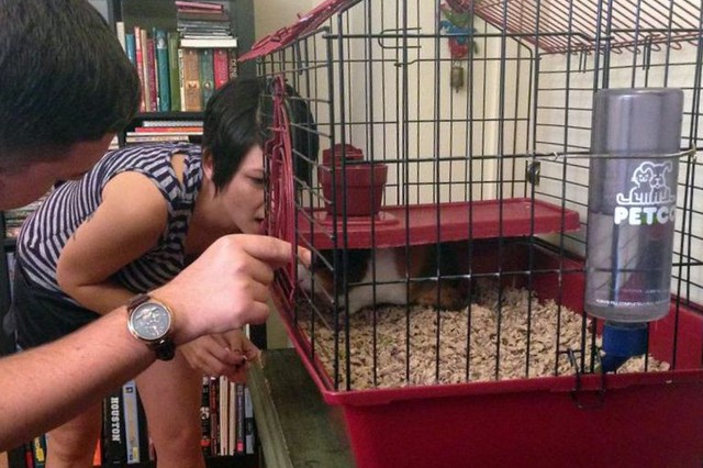 Behind the Scenes of Tendenci's Guinea Pig Ad - Checking on Carl