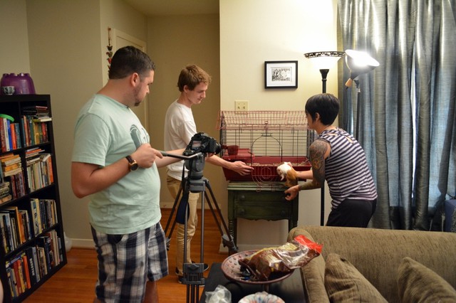 Behind the Scenes of Tendenci's Guinea Pig Ad - Getting Carl to "hop" in the cage