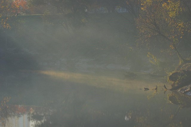 Bayou in the Morning Untouched