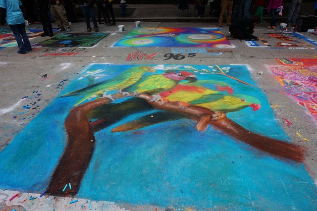 Via Colori 2013