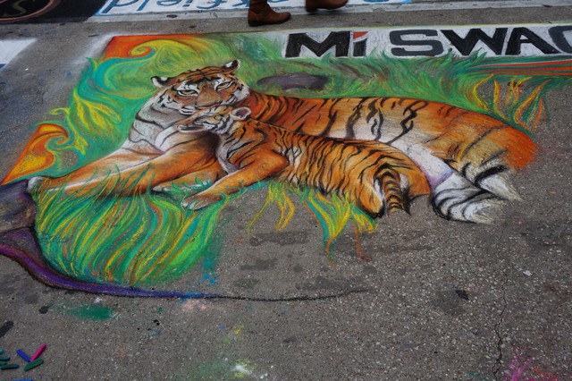 Tigers - Via Colori 2013