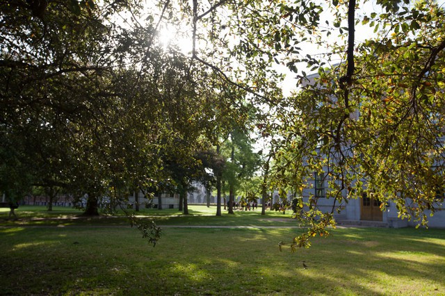 Rice University Stock Photography by Tendenci