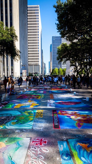 2015 Via Colori Houston