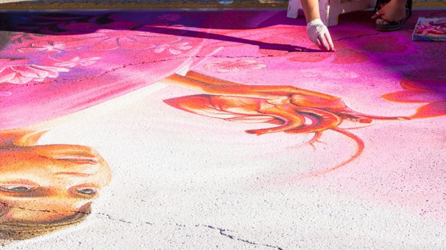 2015 Via Colori Houston