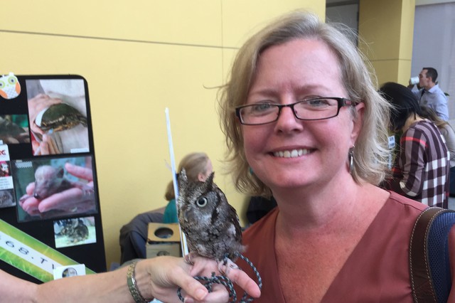 Iris the Owl, Texas Wildlife Rehabilitation Center