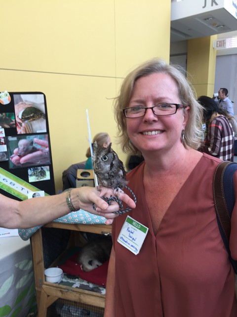 Iris the Owl, Texas Wildlife Rehabilitation Center