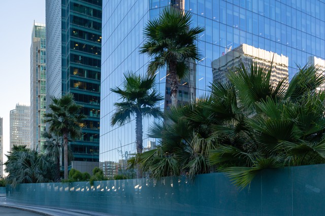 Salesforce Park in San Francisco