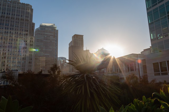 Salesforce Park in San Francisco