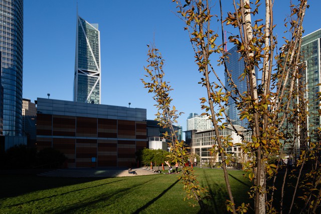 Salesforce Park in San Francisco