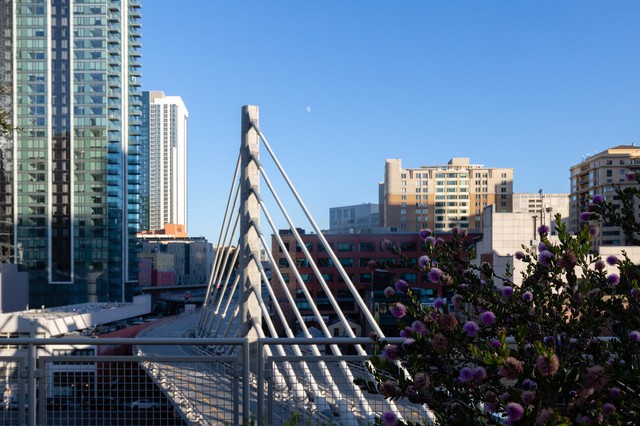 Salesforce Park in San Francisco