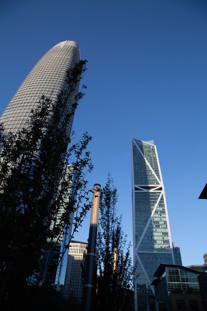 Salesforce Park in San Francisco