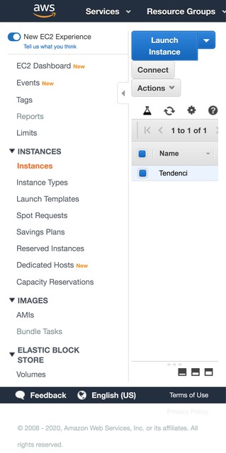 us-east-2.console.aws.amazon.com_ec2_v2_home_region=us-east-2(Pixel 2 XL)-4