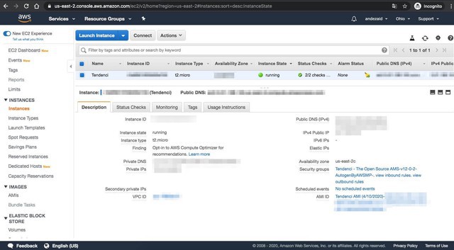 tendenci-instances-EC2-management-console-desktop