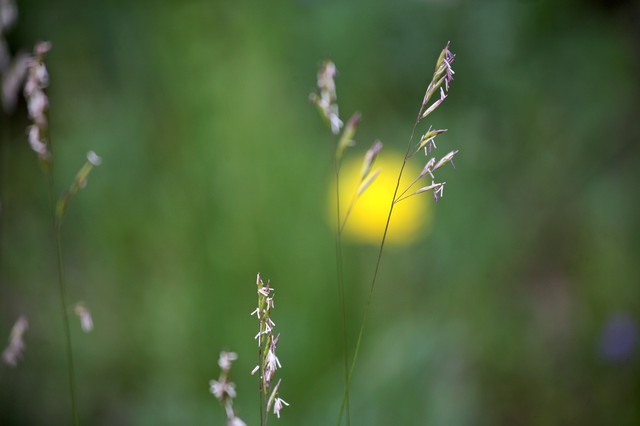 Tendenci Stock Photography Photos by Ed Schipul