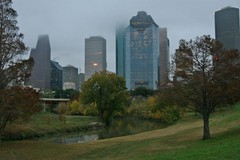 Foggy Morning Along the Bayou