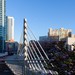 Salesforce Park in San Francisco